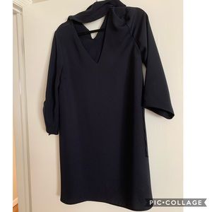 Zara V-neck Dress